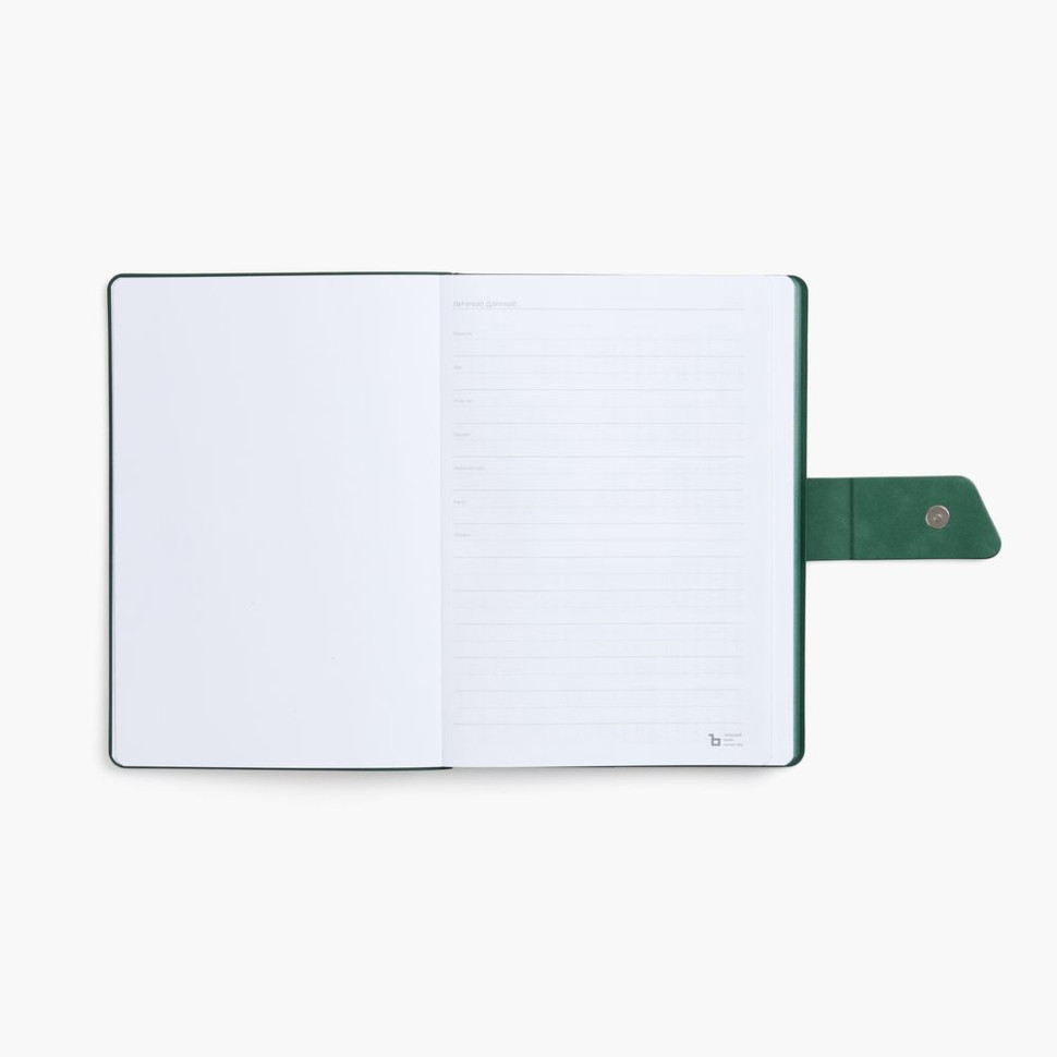 Ежедневник Boom, недатированный, черный с зеленым