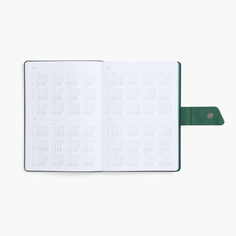 Ежедневник Boom, недатированный, черный с зеленым