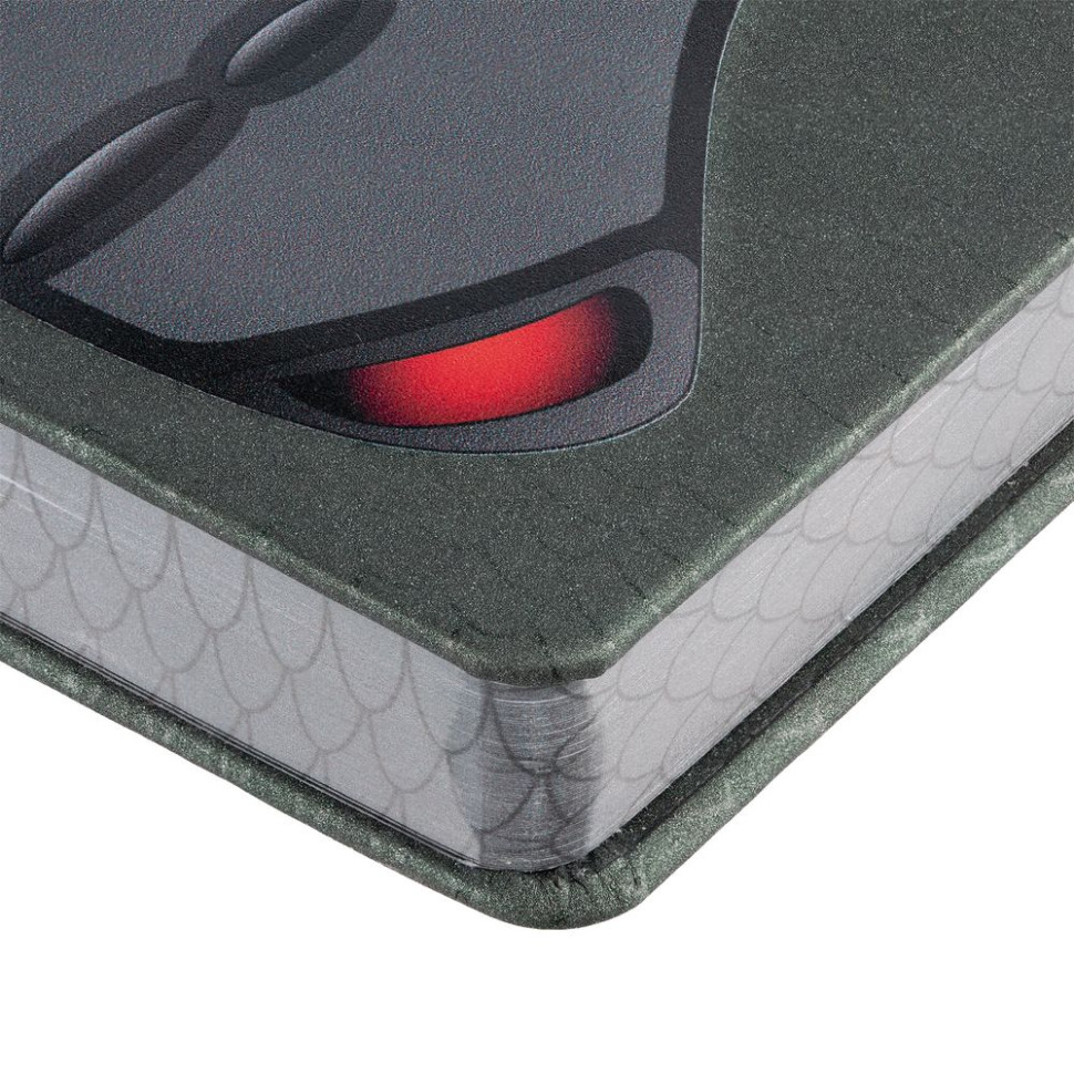 Ежедневник «Дракон», недатированный, темно-зеленый Ежедневник «Дракон», недатированный, темно-зеленый