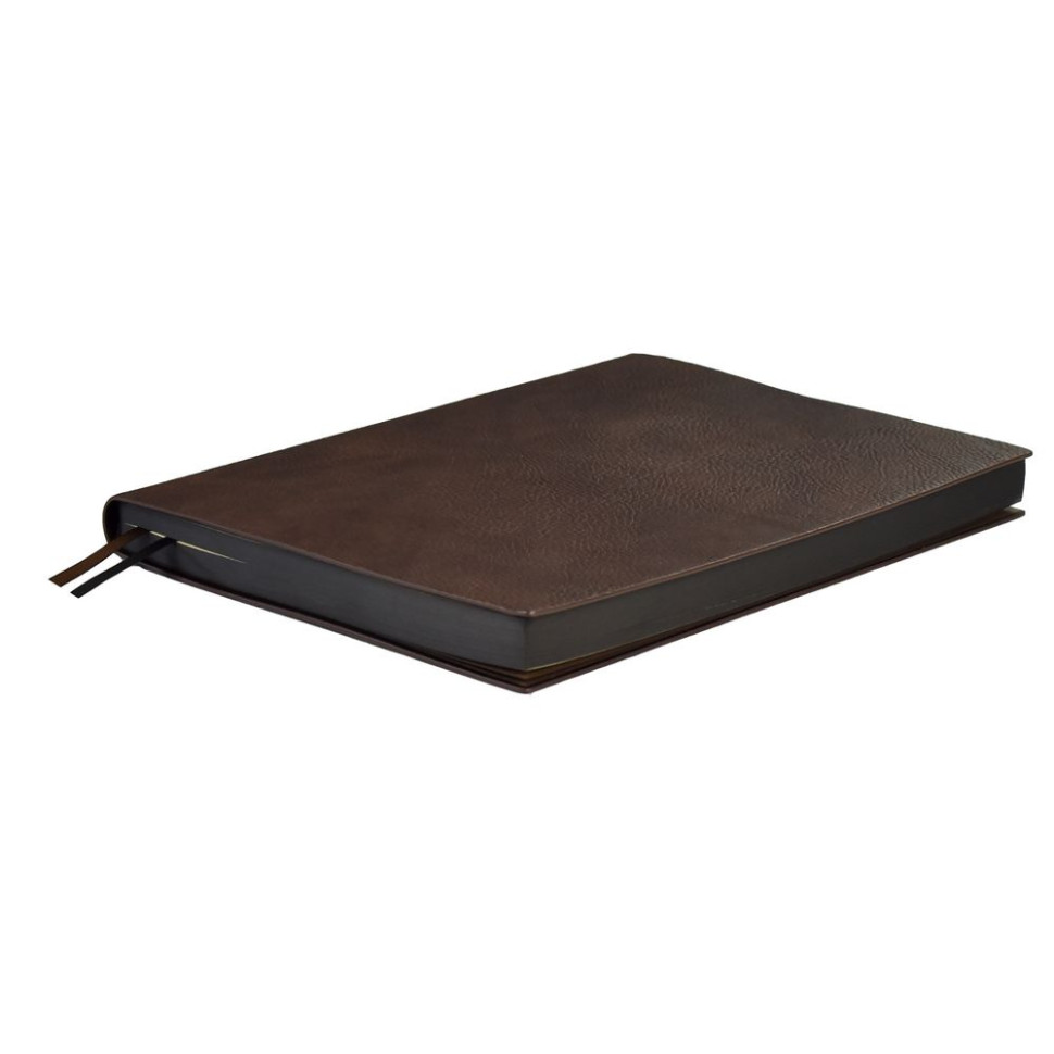 Ежедневник Avila, недатированный, коричневый Ежедневник Avila, недатированный, коричневый
