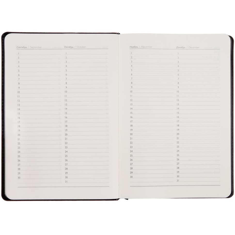 Ежедневник Alanis, недатированный, черный с синим Ежедневник Alanis, недатированный, черный с синим