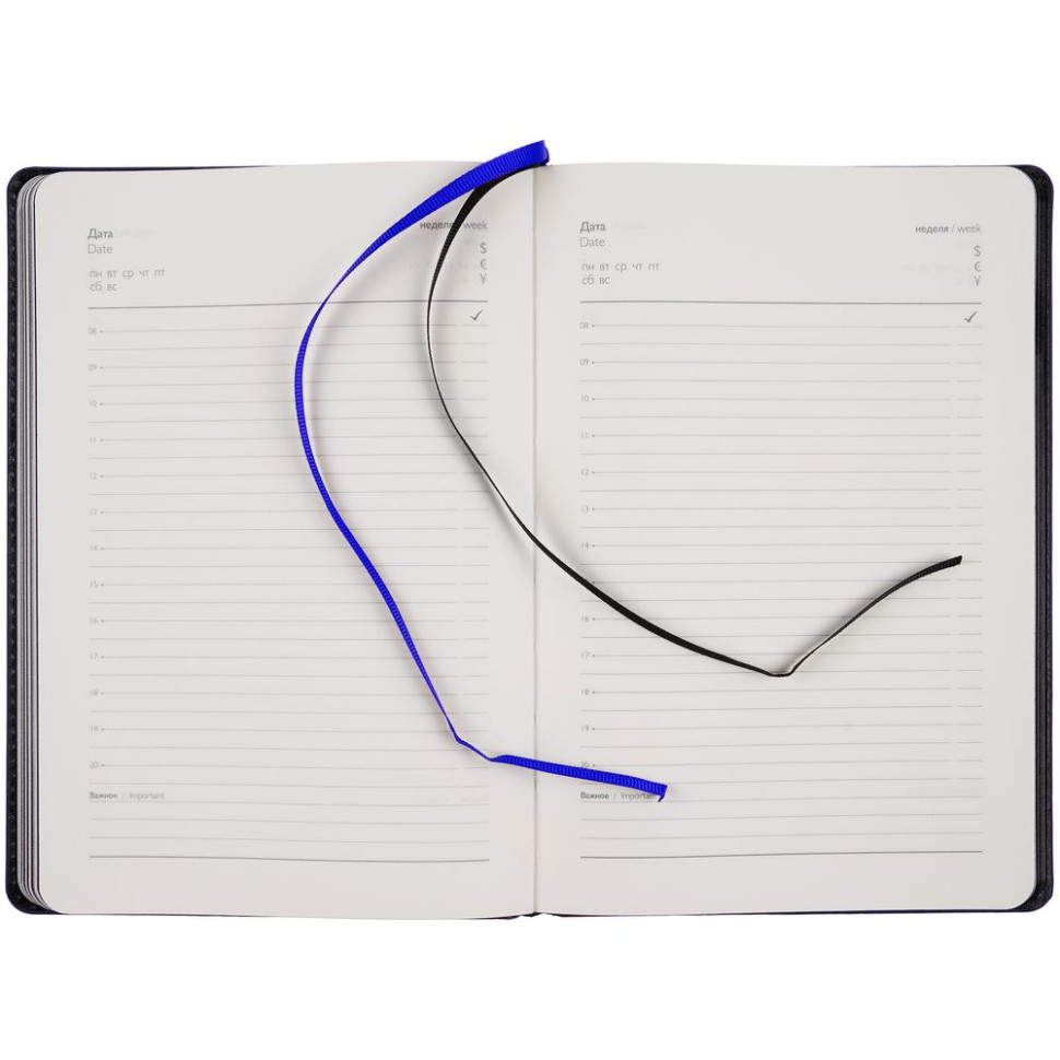 Ежедневник Alanis, недатированный, черный с синим Ежедневник Alanis, недатированный, черный с синим