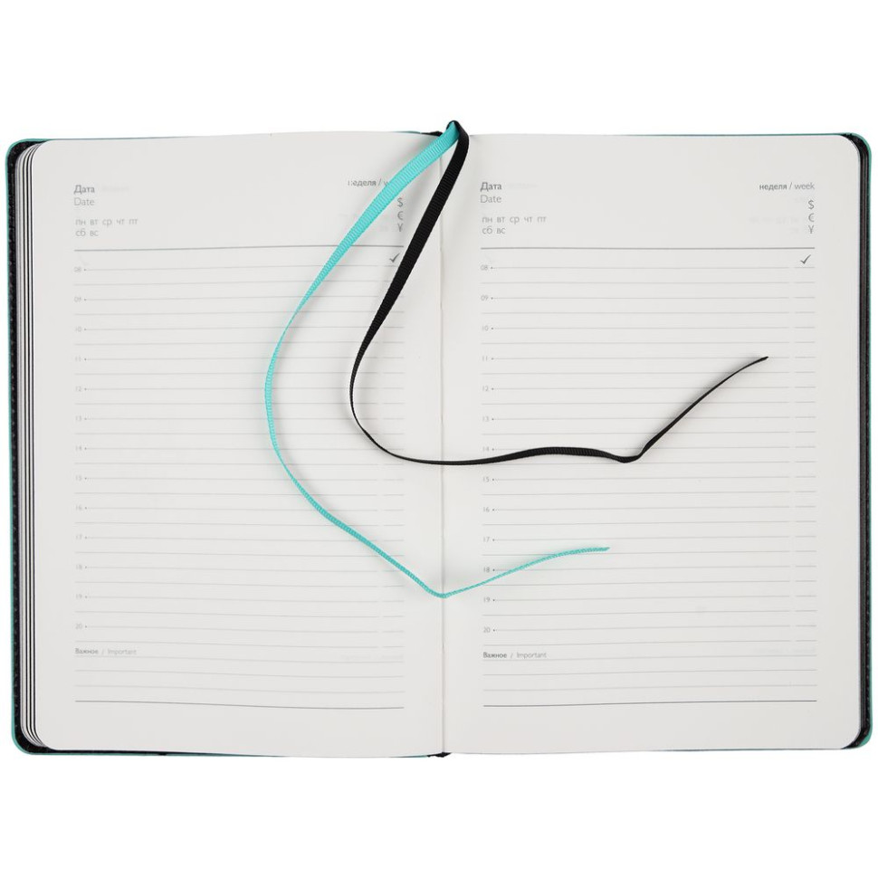 Ежедневник Alanis, недатированный, черный с голубым Ежедневник Alanis, недатированный, черный с голубым