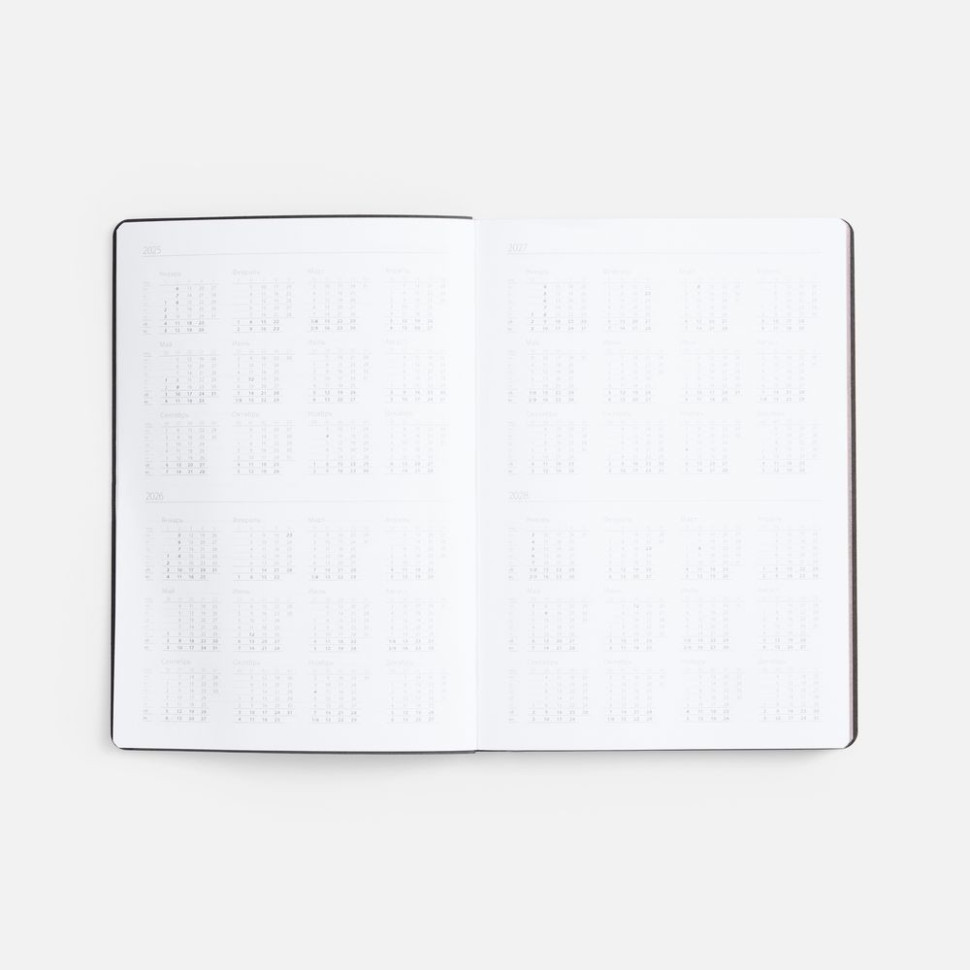 Ежедневник Nebraska Flex, недатированный, красный с серебристым