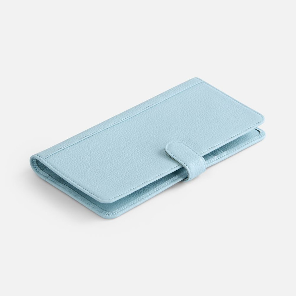 Дорожный органайзер Unison, голубой