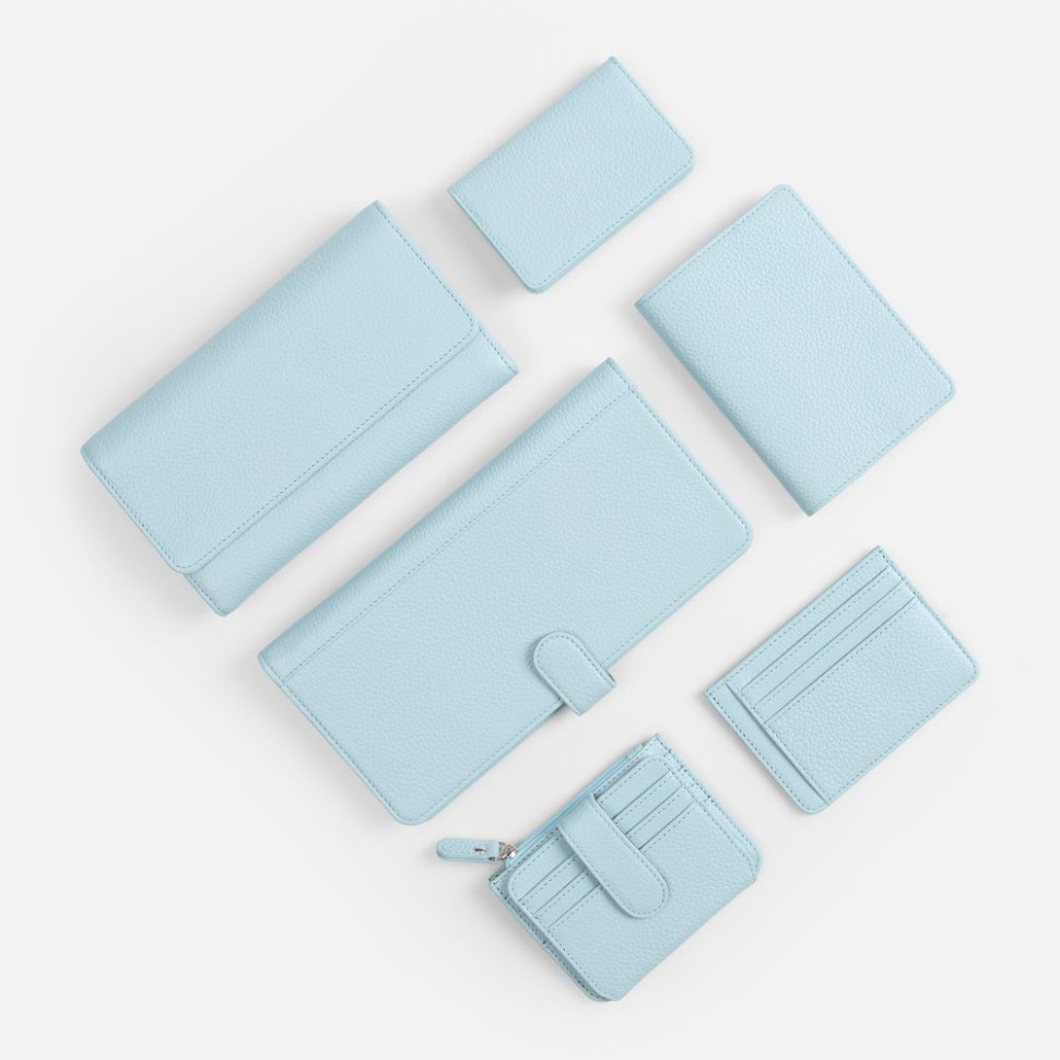 Дорожный органайзер Unison, голубой