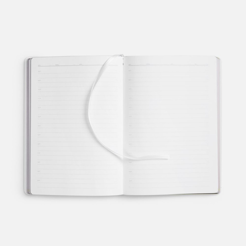 Ежедневник Nebraska Flex, недатированный, белый с золотистым