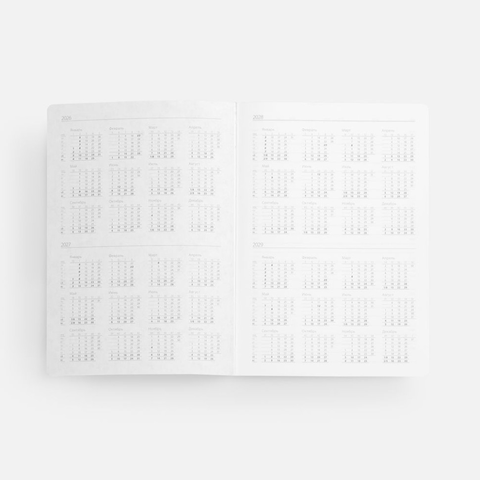 Ежедневник Nebraska Flex, недатированный, белый с серебристым