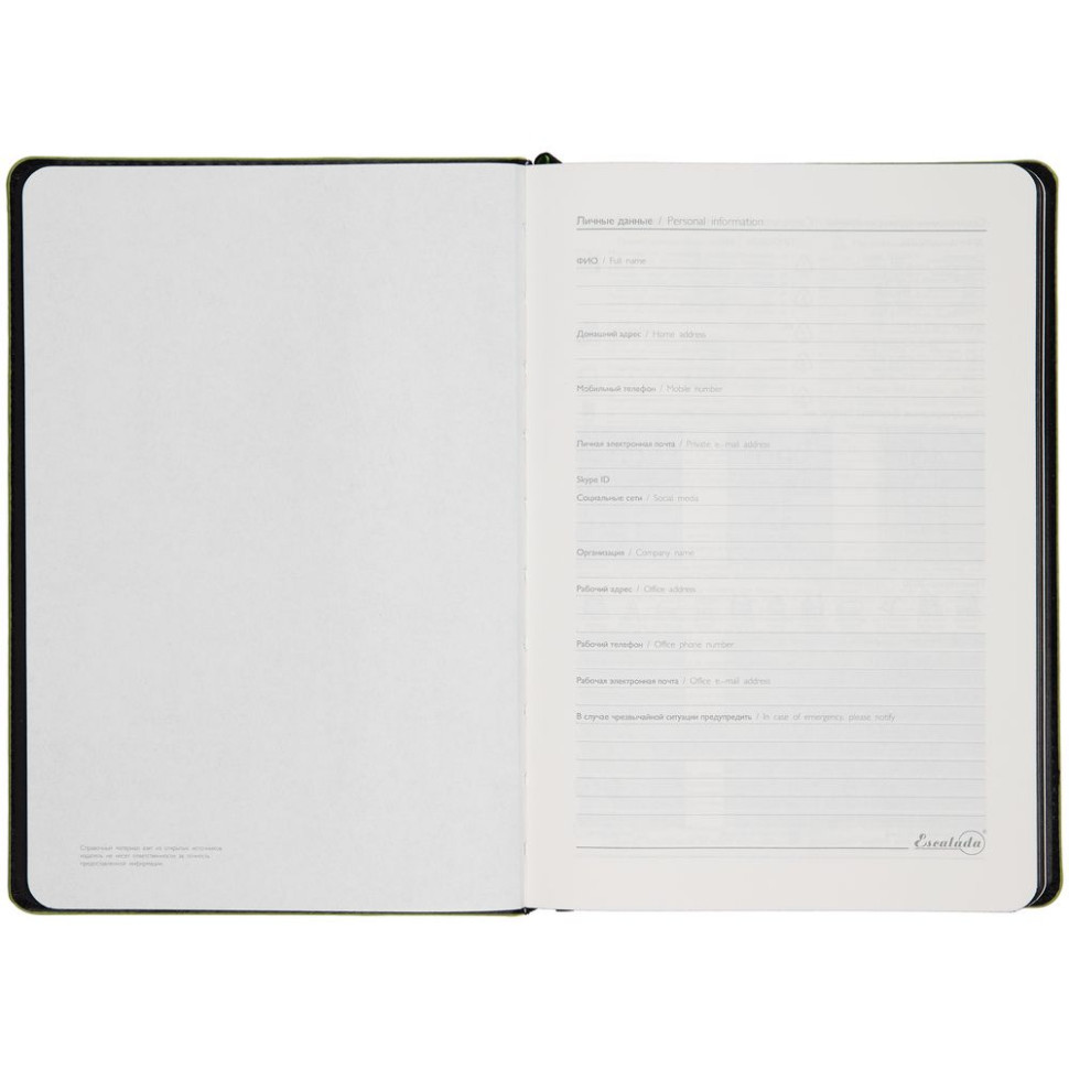 Ежедневник Alanis, недатированный, черный с зеленым Ежедневник Alanis, недатированный, черный с зеленым