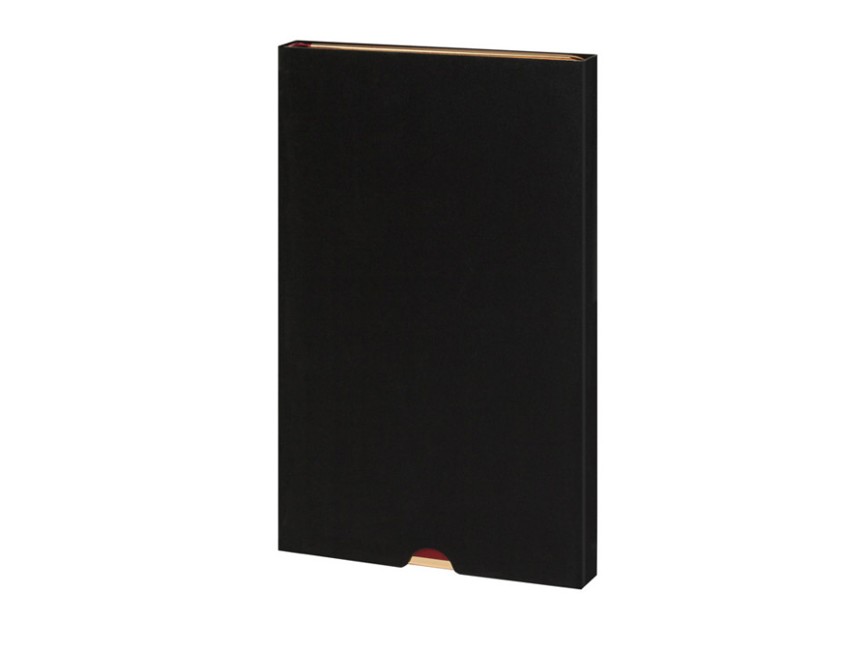 Ежедневник недатированный А5 Chelsea