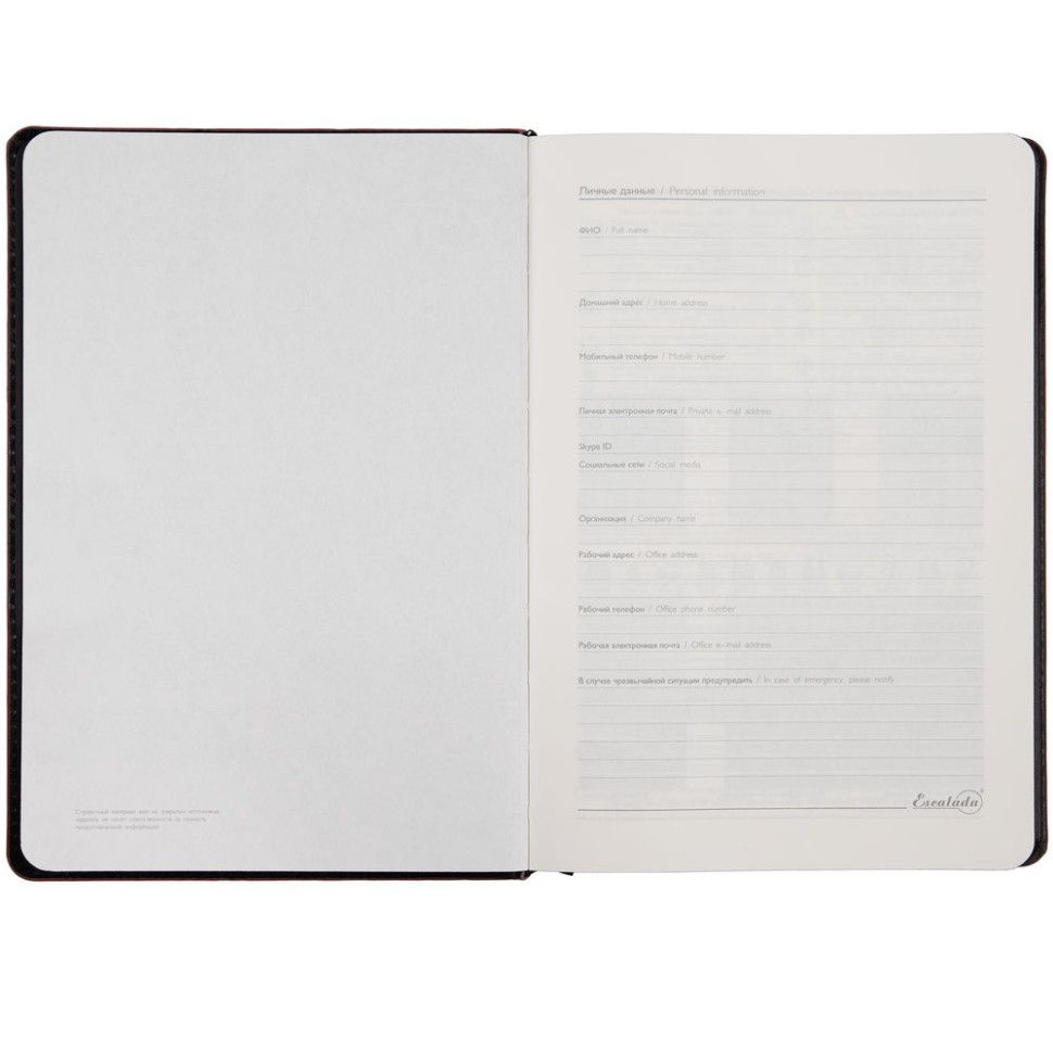 Ежедневник Alanis, недатированный, черный с фиолетовым Ежедневник Alanis, недатированный, черный с фиолетовым