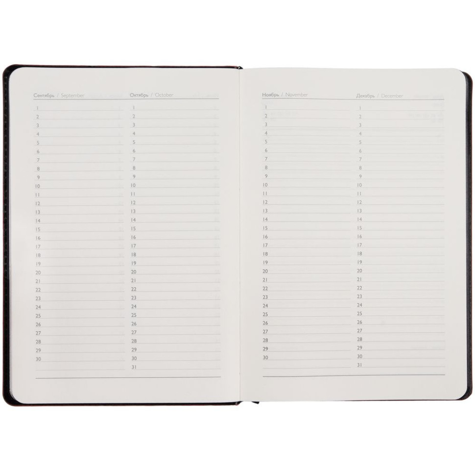 Ежедневник Alanis, недатированный, черный с фиолетовым Ежедневник Alanis, недатированный, черный с фиолетовым