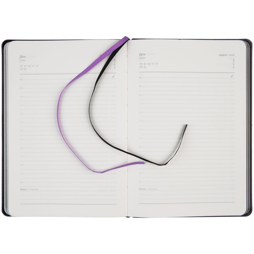 Ежедневник Alanis, недатированный, черный с фиолетовым Ежедневник Alanis, недатированный, черный с фиолетовым